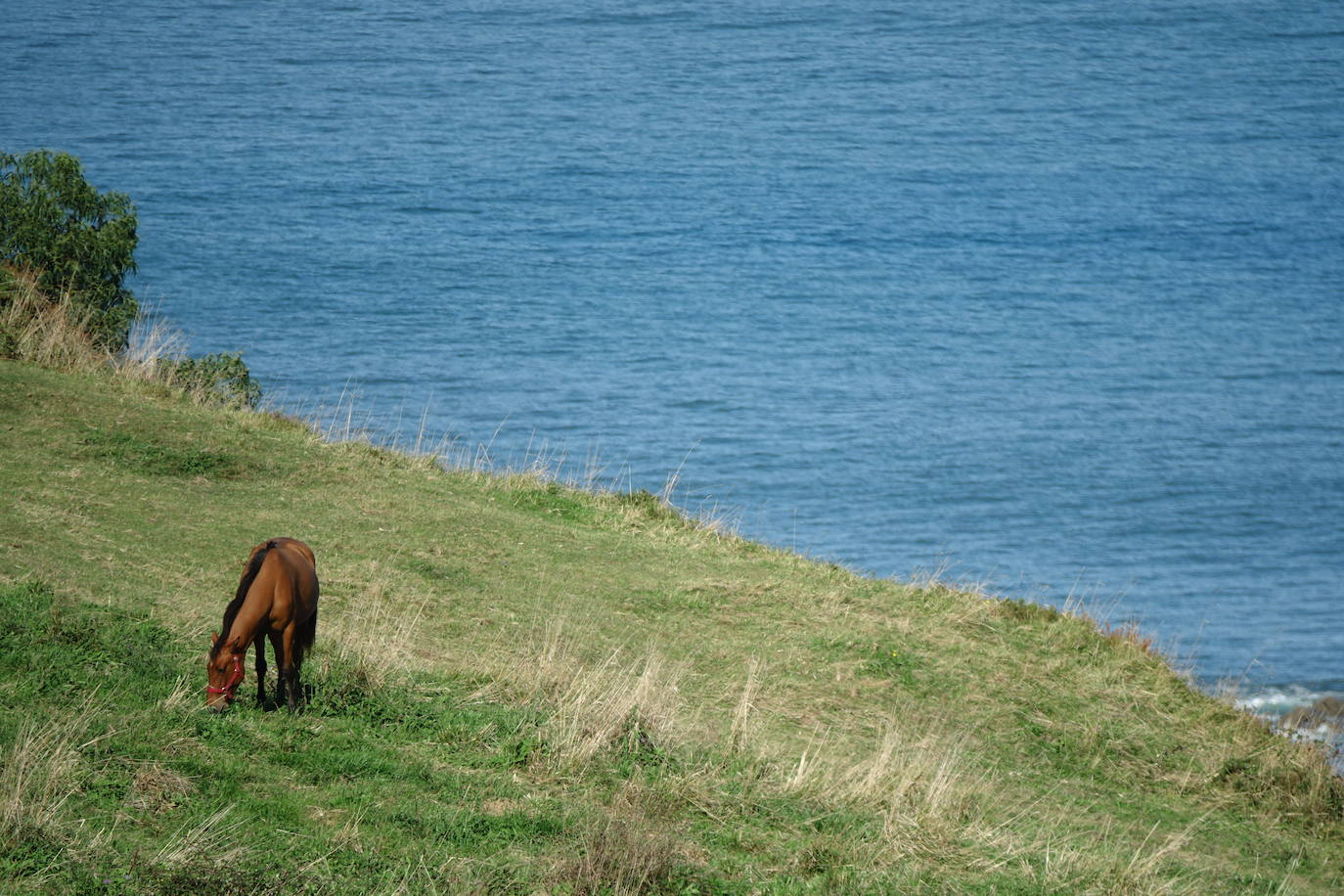 A medida que avanza el otoño, el oriente asturiano comienza a teñirse de amarillo, naranja y rojo. Aunque el verde resiste y el calor aún no quiere dar el testigo a los días más fríos.
