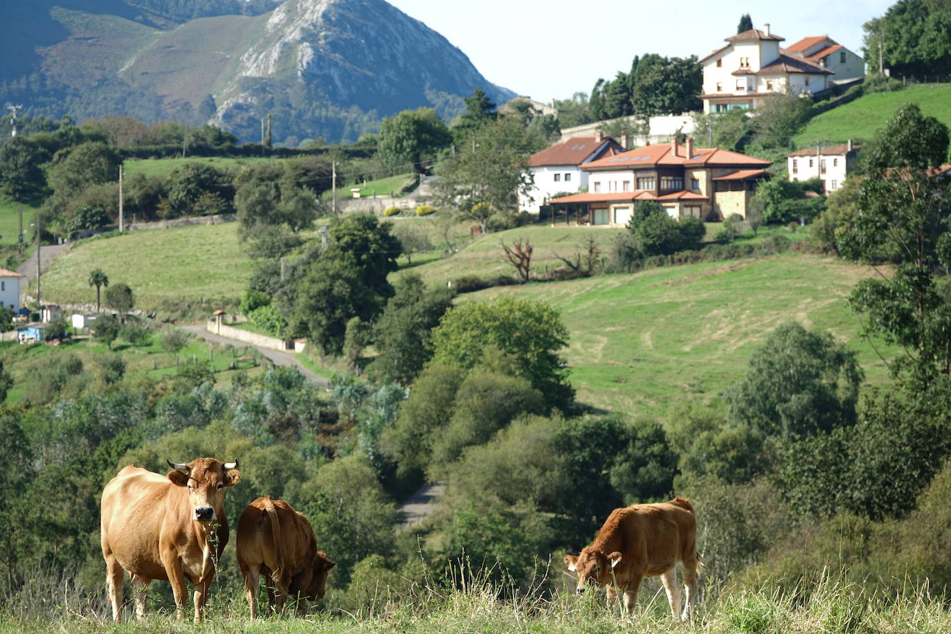 A medida que avanza el otoño, el oriente asturiano comienza a teñirse de amarillo, naranja y rojo. Aunque el verde resiste y el calor aún no quiere dar el testigo a los días más fríos.