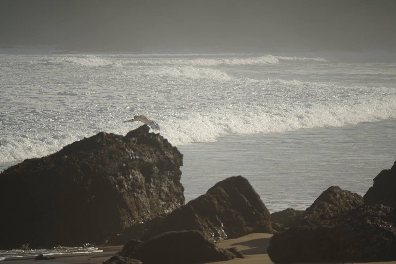 A medida que avanza el otoño, el oriente asturiano comienza a teñirse de amarillo, naranja y rojo. Aunque el verde resiste y el calor aún no quiere dar el testigo a los días más fríos.