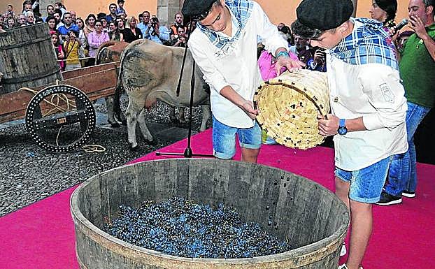 Instantes previos al pisado de la uva.