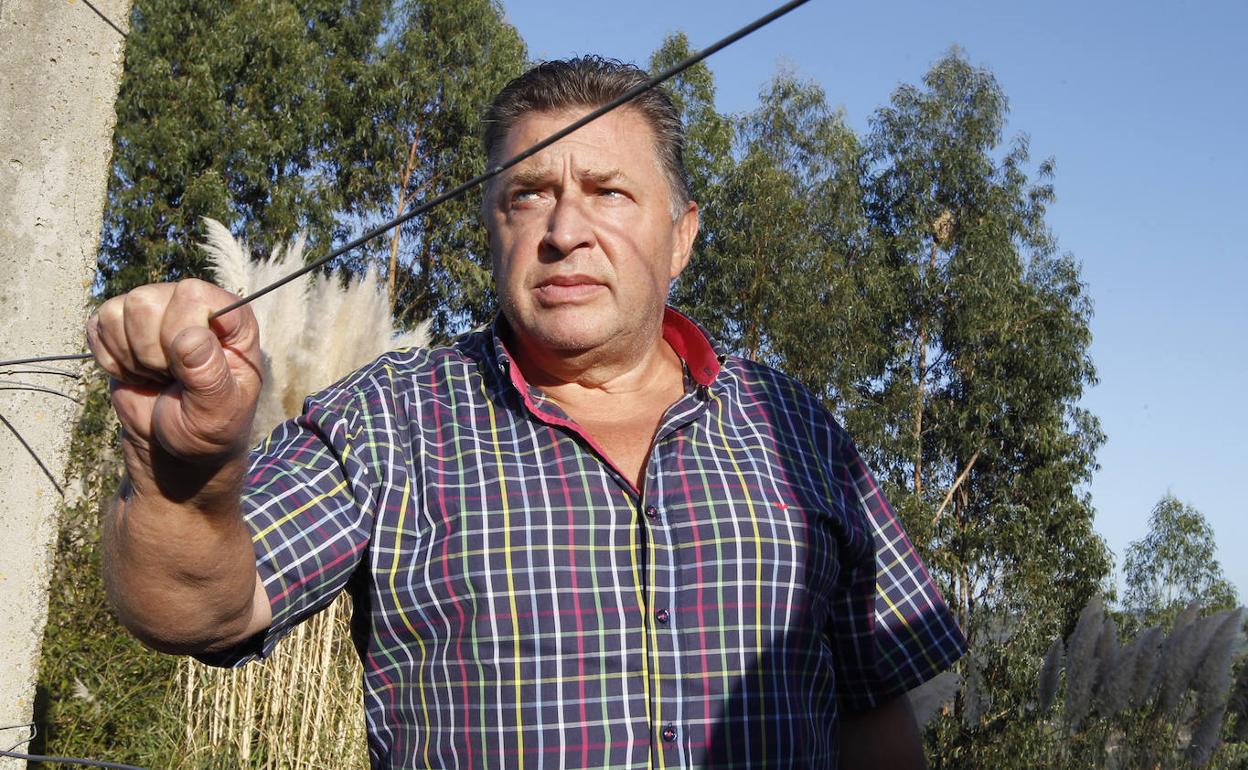 Prieto, ante el eucaliptal donde se ve el nido en altura. 