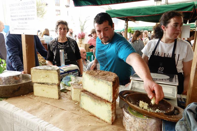 Fotos: Certamen del queso en Cangas y feria de la miel