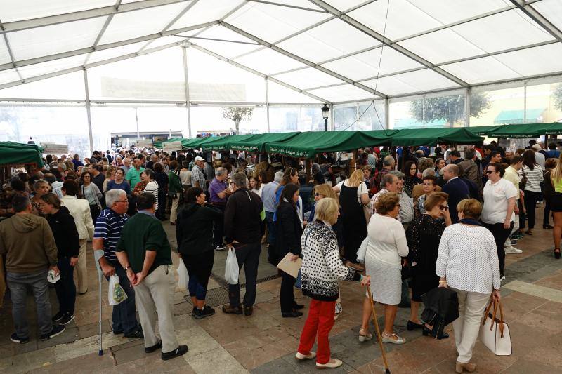 Fotos: Certamen del queso en Cangas y feria de la miel