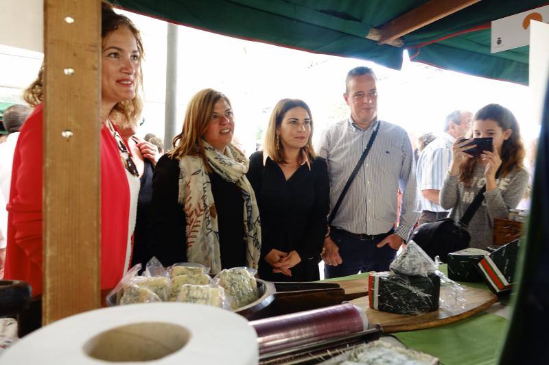 Fotos: Certamen del queso en Cangas y feria de la miel