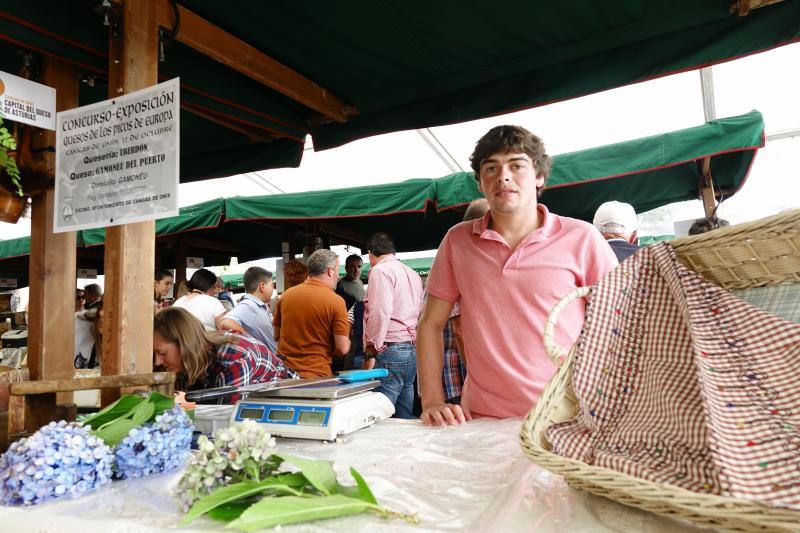 Fotos: Certamen del queso en Cangas y feria de la miel