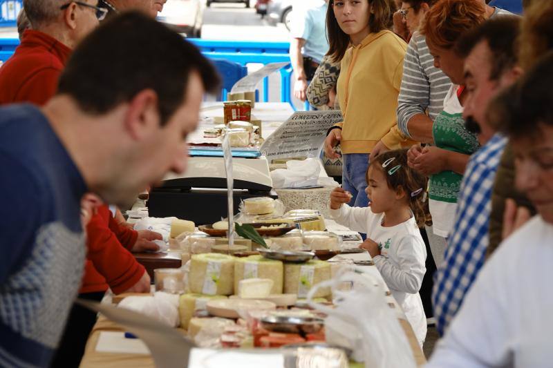 Fotos: Certamen del queso en Cangas y feria de la miel