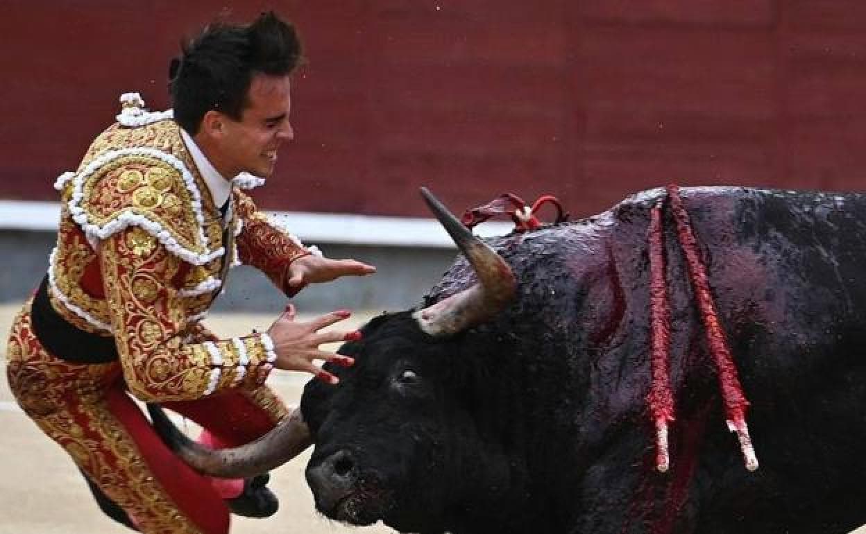 El torero Gonzalo Caballero sufre una grave cornada en Las Ventas.