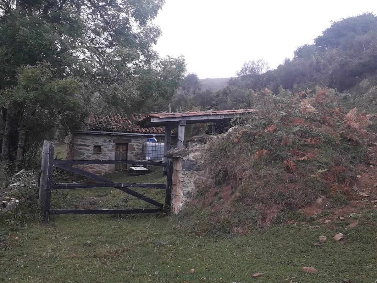 La ruta de las Brañas de Vicenturio y Cueiro es una ruta circular que nos conducirá por las grandes praderías en las que tradicionalmente los pastores dejaban el ganado durante todo el verano. Pasearemos por esta ruta foto a foto y por las partes más destacadas de su recorrido.