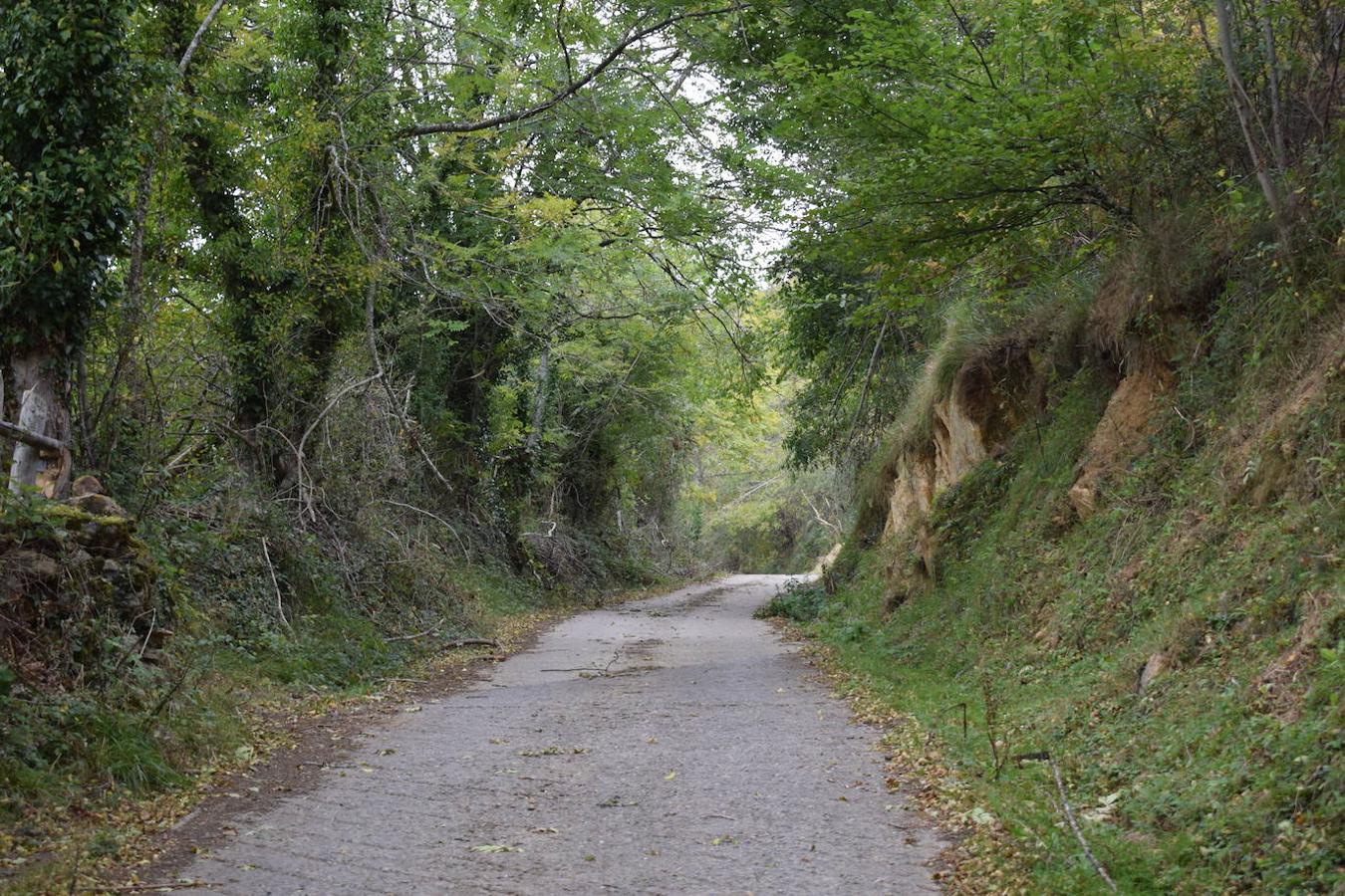 La ruta de las Brañas de Vicenturio y Cueiro es una ruta circular que nos conducirá por las grandes praderías en las que tradicionalmente los pastores dejaban el ganado durante todo el verano. Pasearemos por esta ruta foto a foto y por las partes más destacadas de su recorrido.