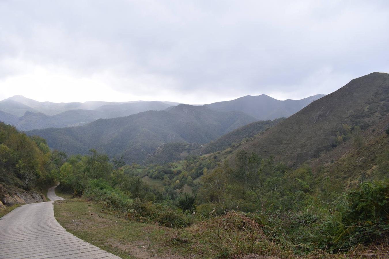 La ruta de las Brañas de Vicenturio y Cueiro es una ruta circular que nos conducirá por las grandes praderías en las que tradicionalmente los pastores dejaban el ganado durante todo el verano. Pasearemos por esta ruta foto a foto y por las partes más destacadas de su recorrido.