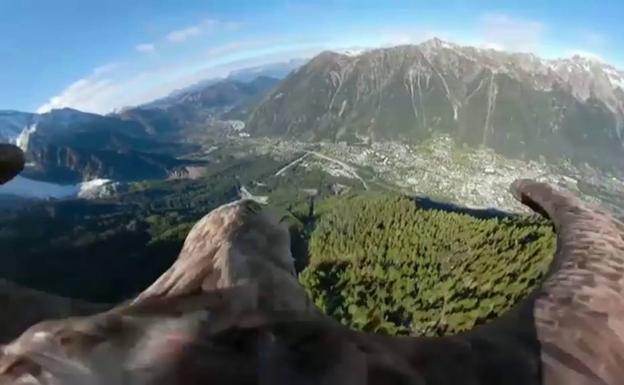 El deshielo de los Alpes visto desde los ojos de un águila