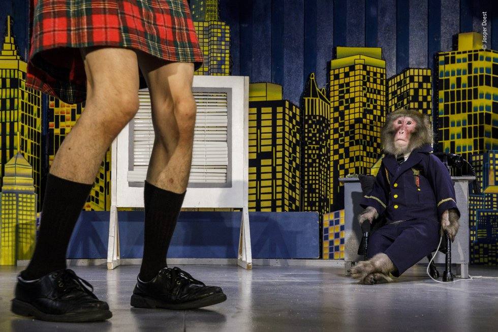 7- Jasper Doest. Categoría: Historia fotoperiodista de vida silvestre.