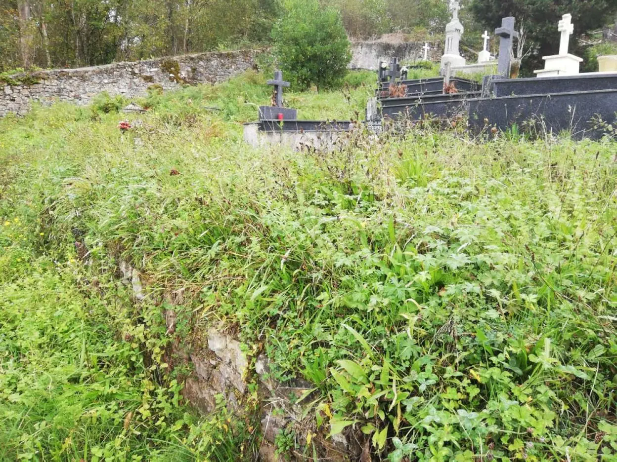 Vegetación que rodea el cementerio de Villamayor, en Piloña. 