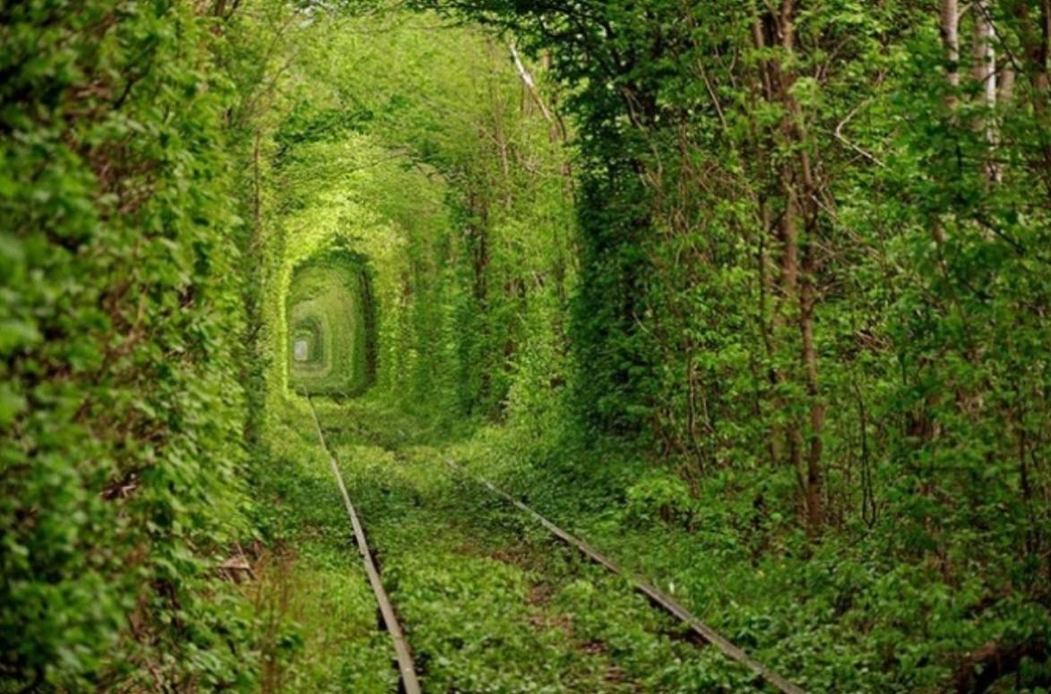 El 'túnel del amor' (Ucrania) | Esta vía ferroviaria abandonada está considerada como uno de los lugares más románticos del mundo en torno a la que la propia naturaleza ha creado una increíble bóveda de vegetación.