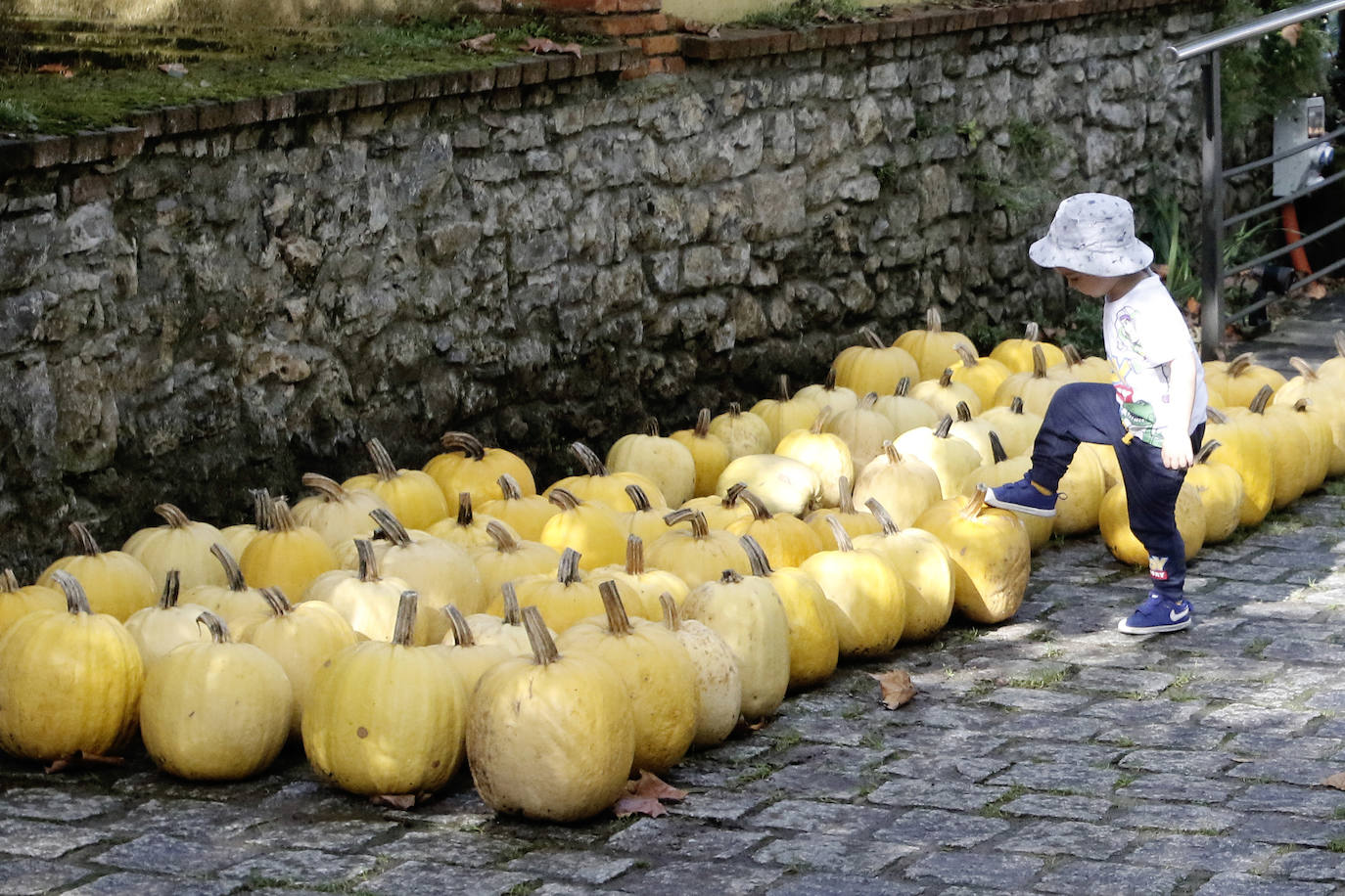 El espacio divulgativo celebra hasta el 3 de noviembre un conjunto de actividades dedicadas al otoño y a las tradiciones del Día de Difuntos. 