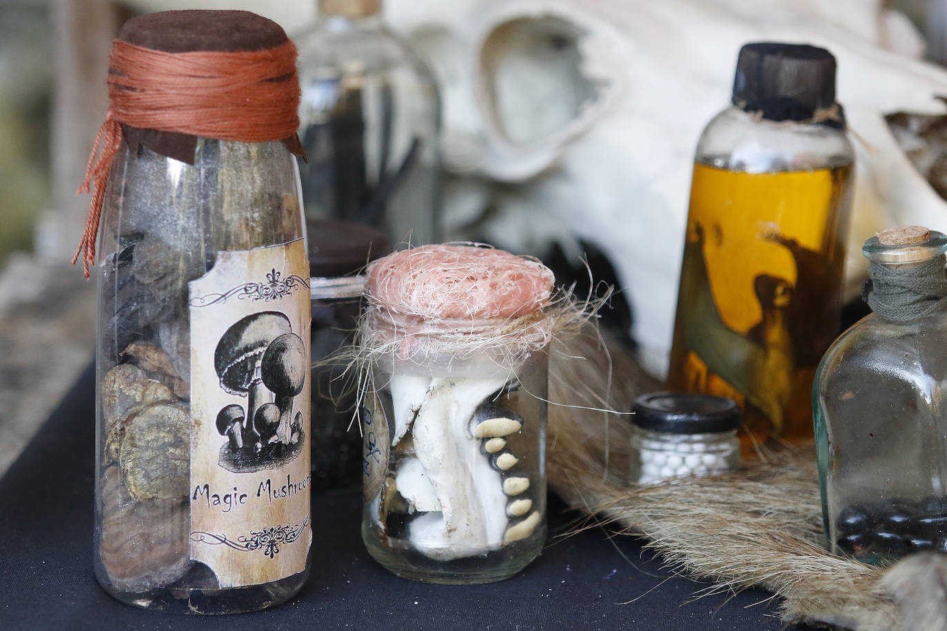 El espacio divulgativo celebra hasta el 3 de noviembre un conjunto de actividades dedicadas al otoño y a las tradiciones del Día de Difuntos. 