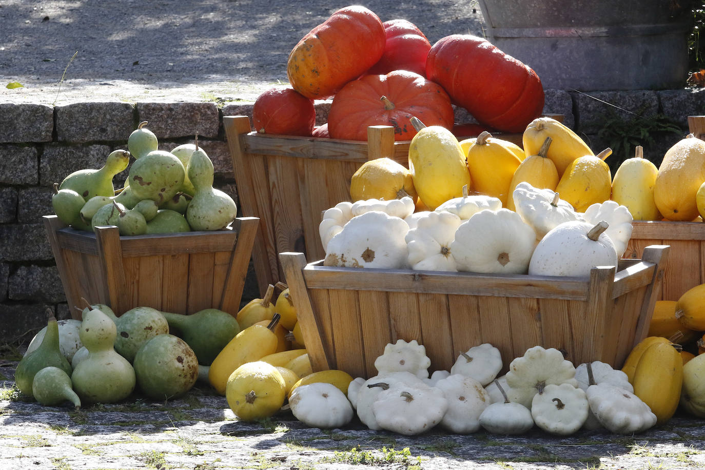 El espacio divulgativo celebra hasta el 3 de noviembre un conjunto de actividades dedicadas al otoño y a las tradiciones del Día de Difuntos. 
