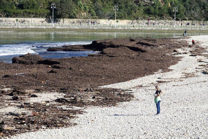 El temporal de los últimos días en el oriente asturiano ha dejado una marea de residuos en playas como la de Santa Marina, en Ribadesella. 