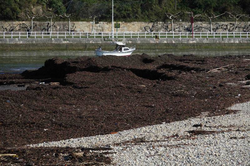 El temporal de los últimos días en el oriente asturiano ha dejado una marea de residuos en playas como la de Santa Marina, en Ribadesella. 