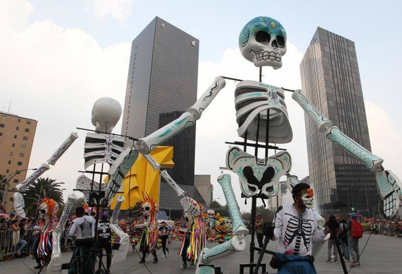 El Desfile Internacional del Día de los Muertos celebrado en México, estuvo protagonizado por catrinas, enormes calaveras, criaturas alegóricas, singulares carrozas y flores de los colores más llamativos. La creencia de los mexicanos, es que estas flores y en concreto la flor naranja de cempasúchil (planta que protagonizó gran parte del desfile) son las encargadas de guiar a los difuntos a que se reencuentren con sus familiares.