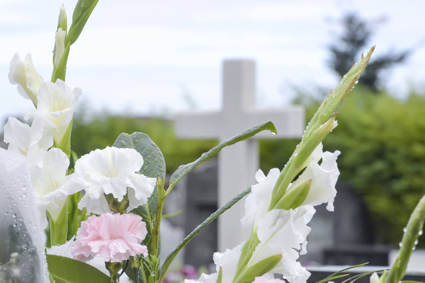 Los familiares de los difuntos que yacen en los cementerios de La Manjoya, Tudela Veguín, Olloniego y Trubia ya han comenzado a acudir a los sepulcros. 