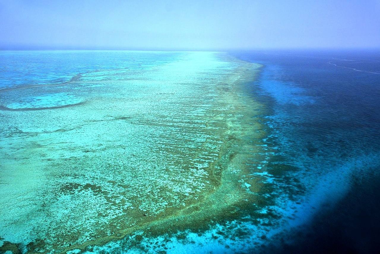 Gran barrera de coral (Australia) | El mayor arrecife de coral del mundo, está sufriendo la devastación de las altas temperaturas, las tormentas tropicales y la acidez cada vez mayor del agua. Como consecuencia, ha perdido la mitad de sus corales.