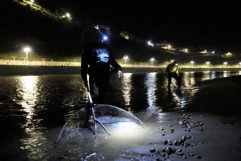 Setenta anguleros participarán este año en la campaña de la angula en la costa oriental asturiana. 