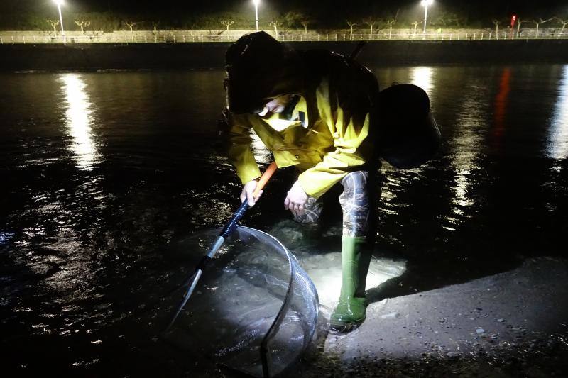 Setenta anguleros participarán este año en la campaña de la angula en la costa oriental asturiana. 