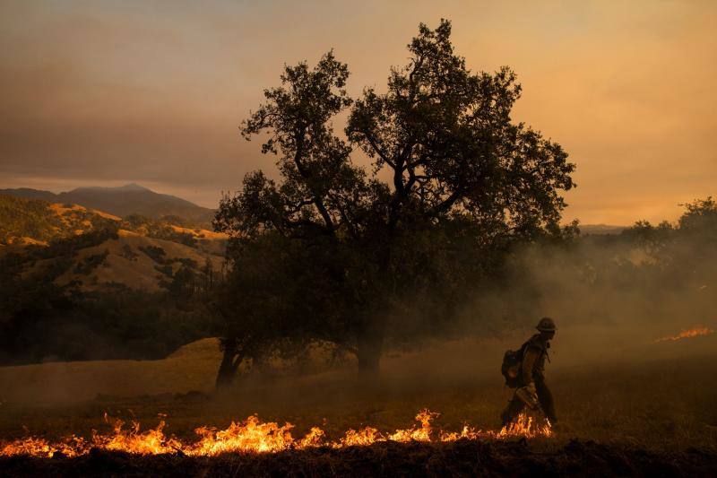 El sur de California lleva días siendo arrasada por varios incendios forestales que los bomberos tratan de contener.