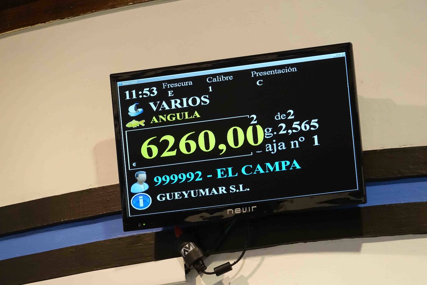 6.260 euros. Es lo que se ha pagado por la primera angula de la temporada en la rula de Ribadesella. Los 2,5 primeros kilos han sido adquiridos por los restaurantes riosellanos El Campanu y La Ría del Campanu.