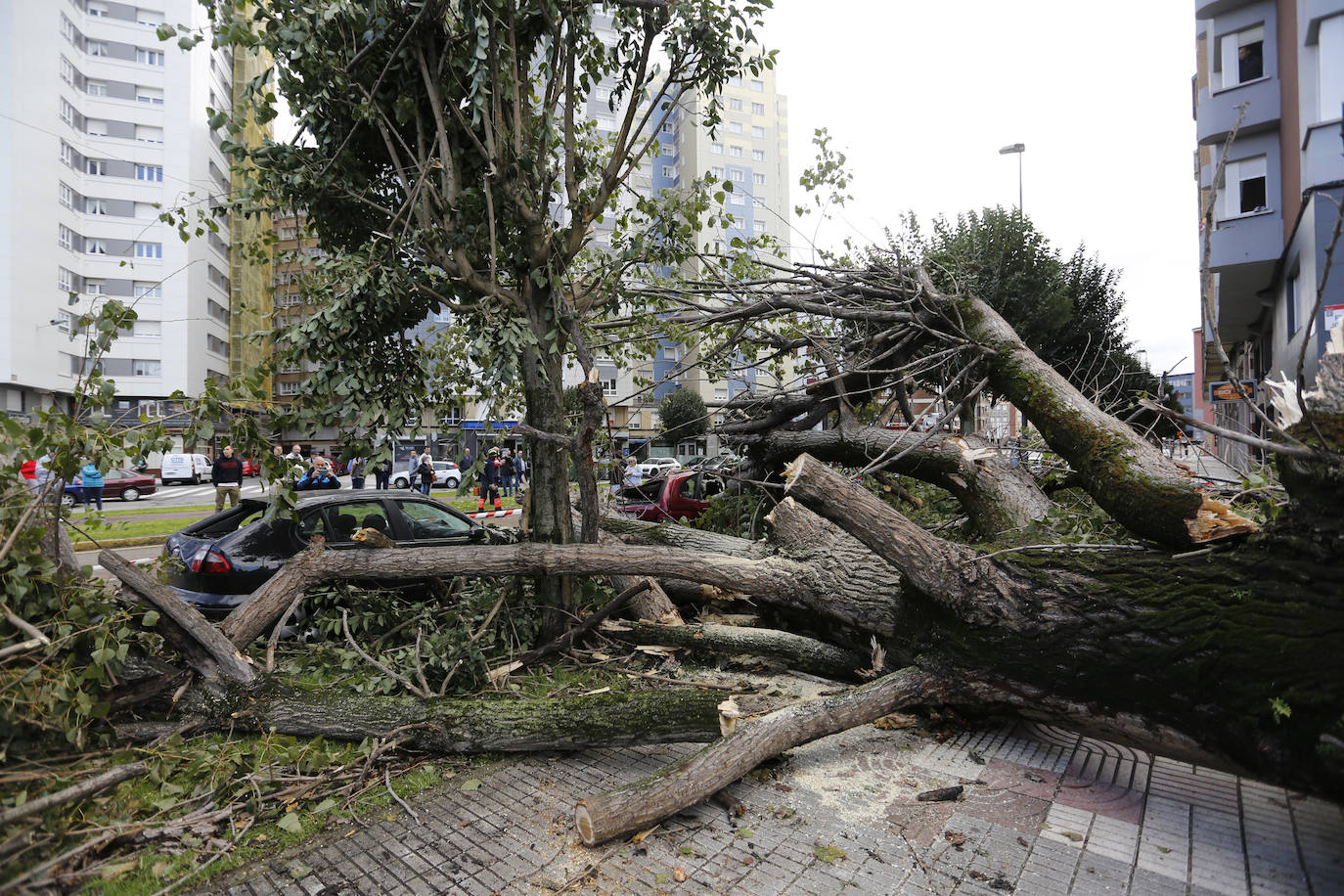 Fotos: La borrasca &#039;Amelie&#039; causa daños materiales en Gijón