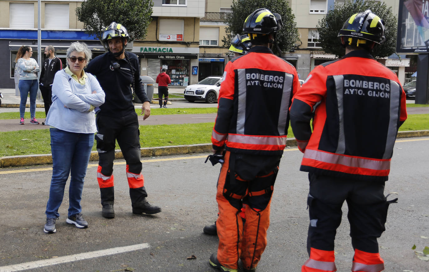 La borrasca 'Amelie' que azota la cornisa Cantábrica ha dejado rachas de hasta 130 kilómetros por hora en Asturias, lo que ha provocado numerosos incidentes en la región, sobre todo, árboles caídos.