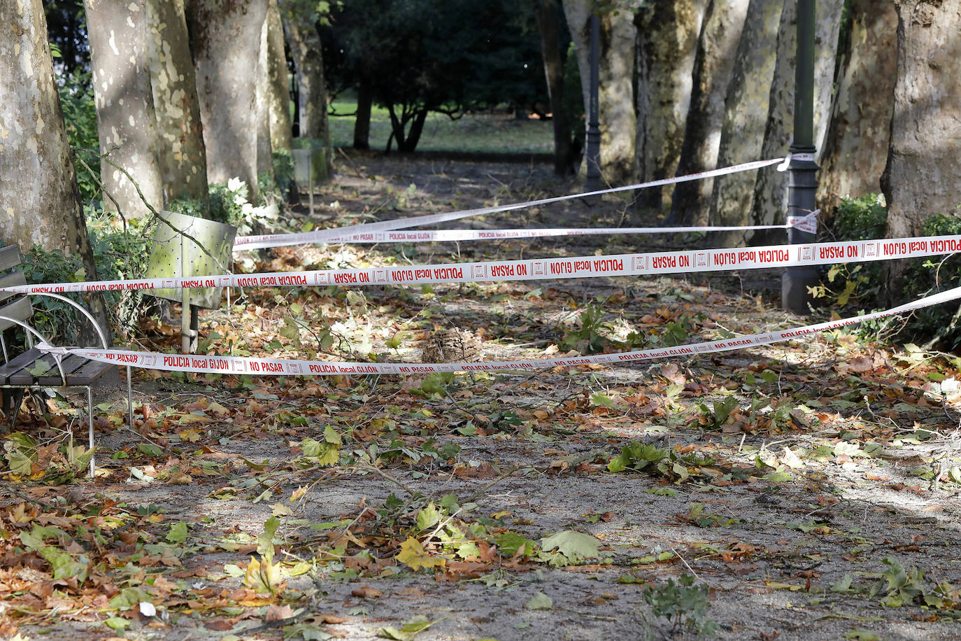 La borrasca 'Amelie' que azota la cornisa Cantábrica ha dejado rachas de hasta 130 kilómetros por hora en Asturias, lo que ha provocado numerosos incidentes en la región, sobre todo, árboles caídos.