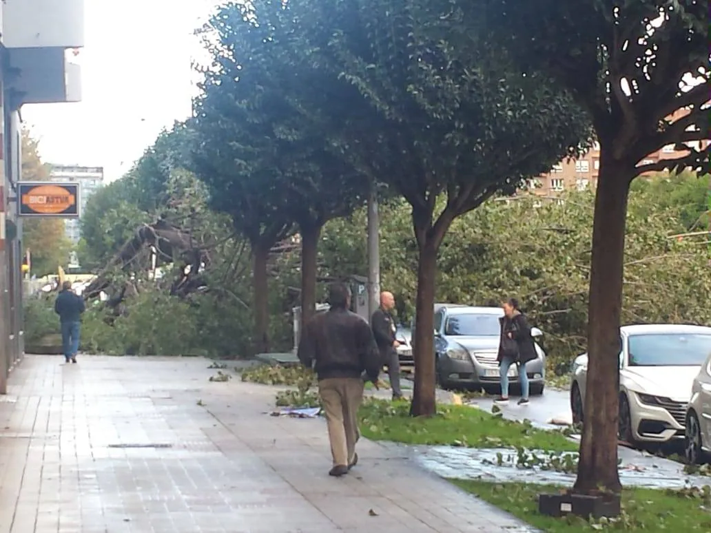 La borrasca 'Amelie' que azota la cornisa Cantábrica ha dejado rachas de hasta 130 kilómetros por hora en Asturias, lo que ha provocado numerosos incidentes en la región, sobre todo, árboles caídos.