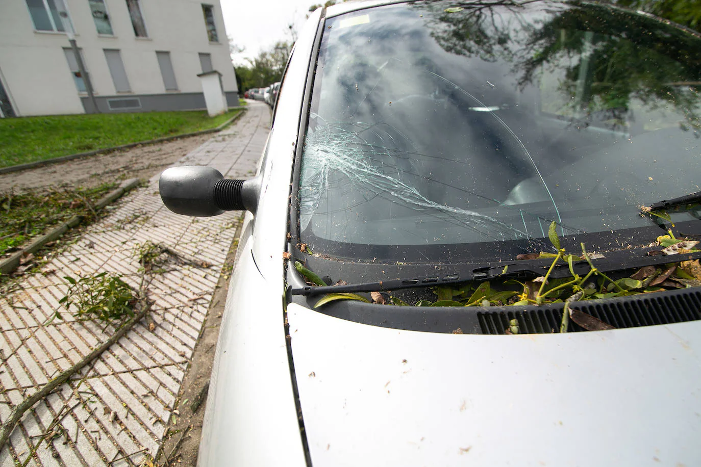 La borrasca 'Amelie' que azota la cornisa Cantábrica ha dejado rachas de hasta 130 kilómetros por hora en Asturias, lo que ha provocado numerosos incidentes en la región, sobre todo, árboles caídos.