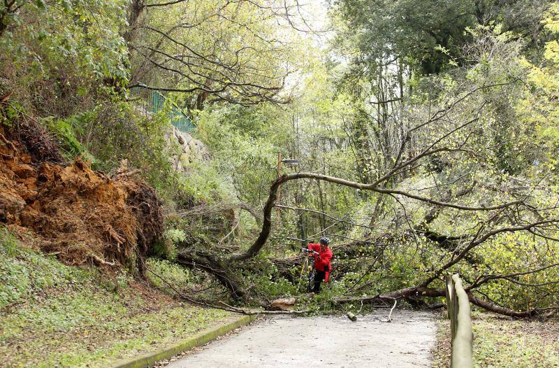 Un ciclista en la senda de la Manjoya, en Oviedo. 