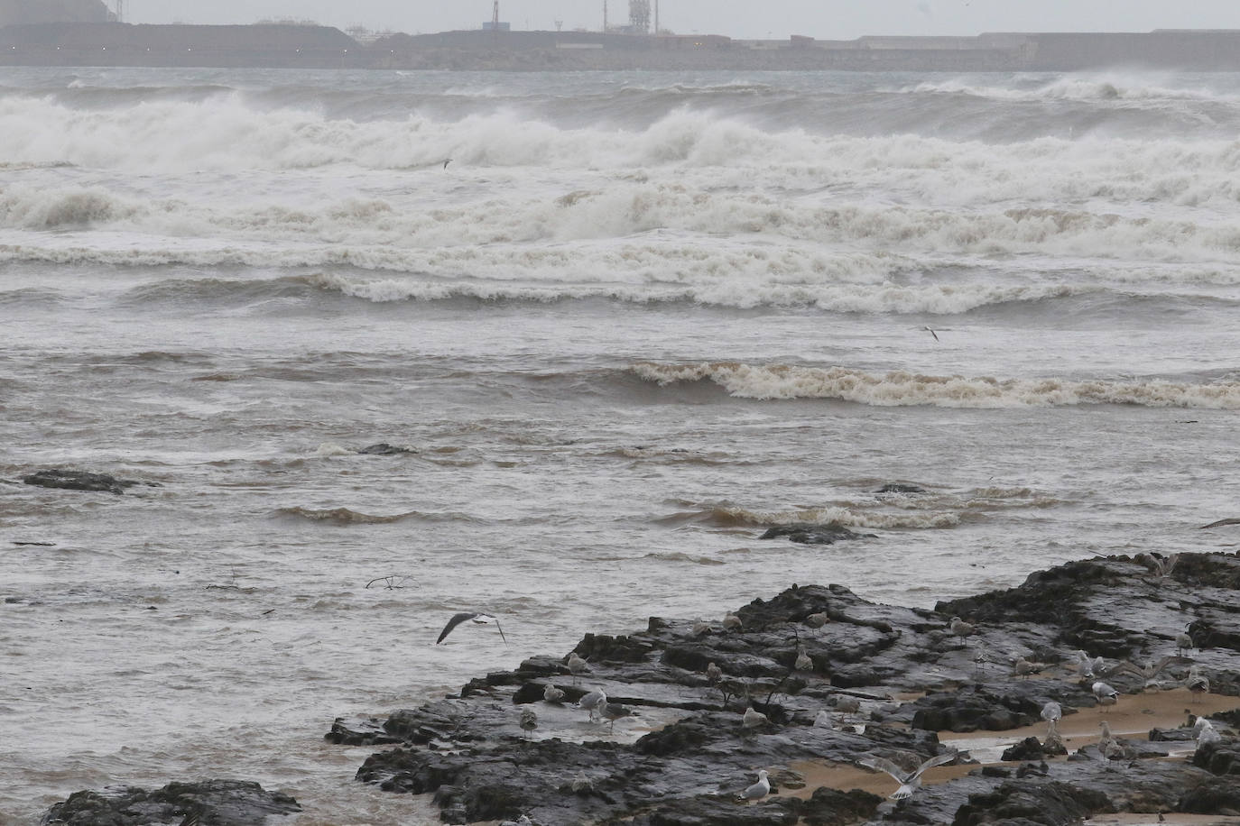 El temporal que azota Asturias ha ocasionado que la bahía de San Lorenzo apareciera este viernes con agua de color marrón, procedente del río Piles y del arrastre de las aguas de escorrentía, lo que se unió a una mar muy revuelta