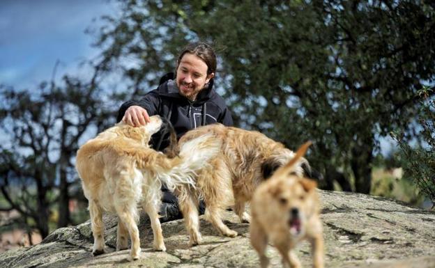 El candidato de Unidas Podemos, Pablo Iglesias, en el campo con sus perros.