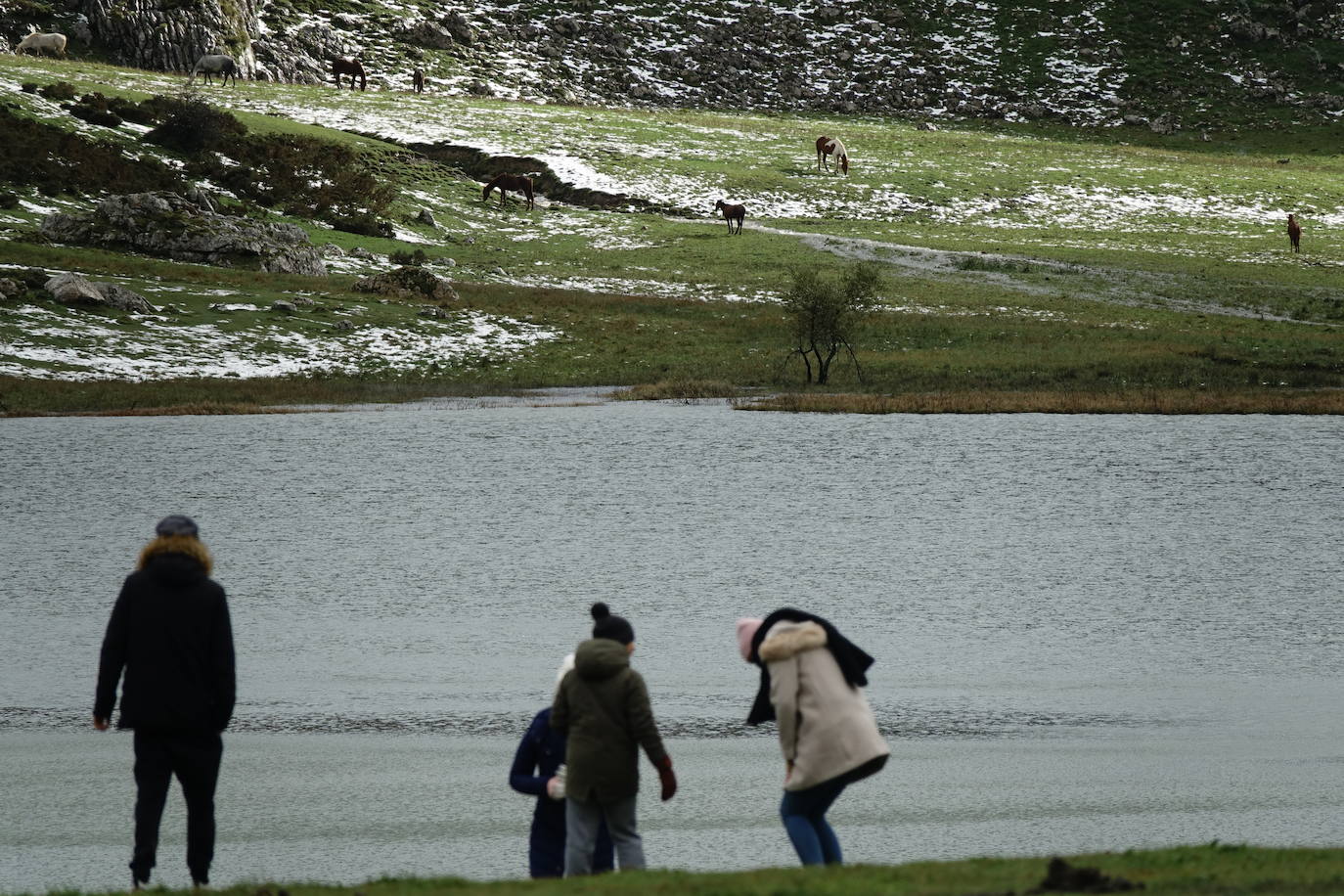 El viento del sur y la intensa lluvia provocaron la desaparición de nieve en el entorno de los Lagos de Covadonga pero favorece la aparición de otros tesoros como el desconocido tercer lago, 'El Bricial'.
