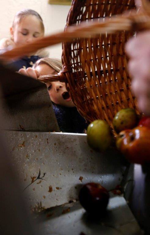 Sidra desde pequeños