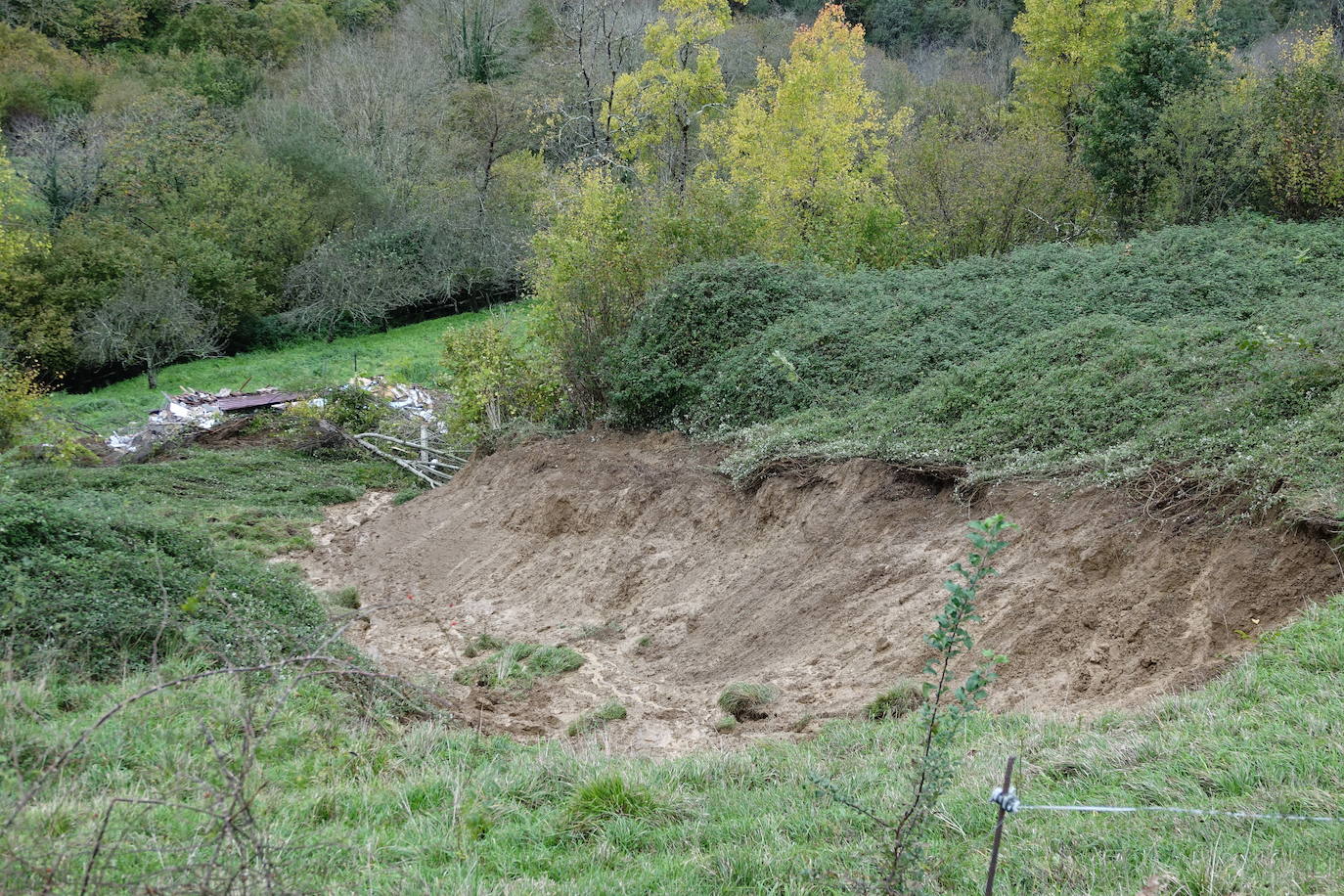 Las intensas lluvias han provocado argayos en Cangas de Onís, Cirieño, Poncebos y en Degaña. Además, se han desbordado los ríos Nalón y Trubia. 