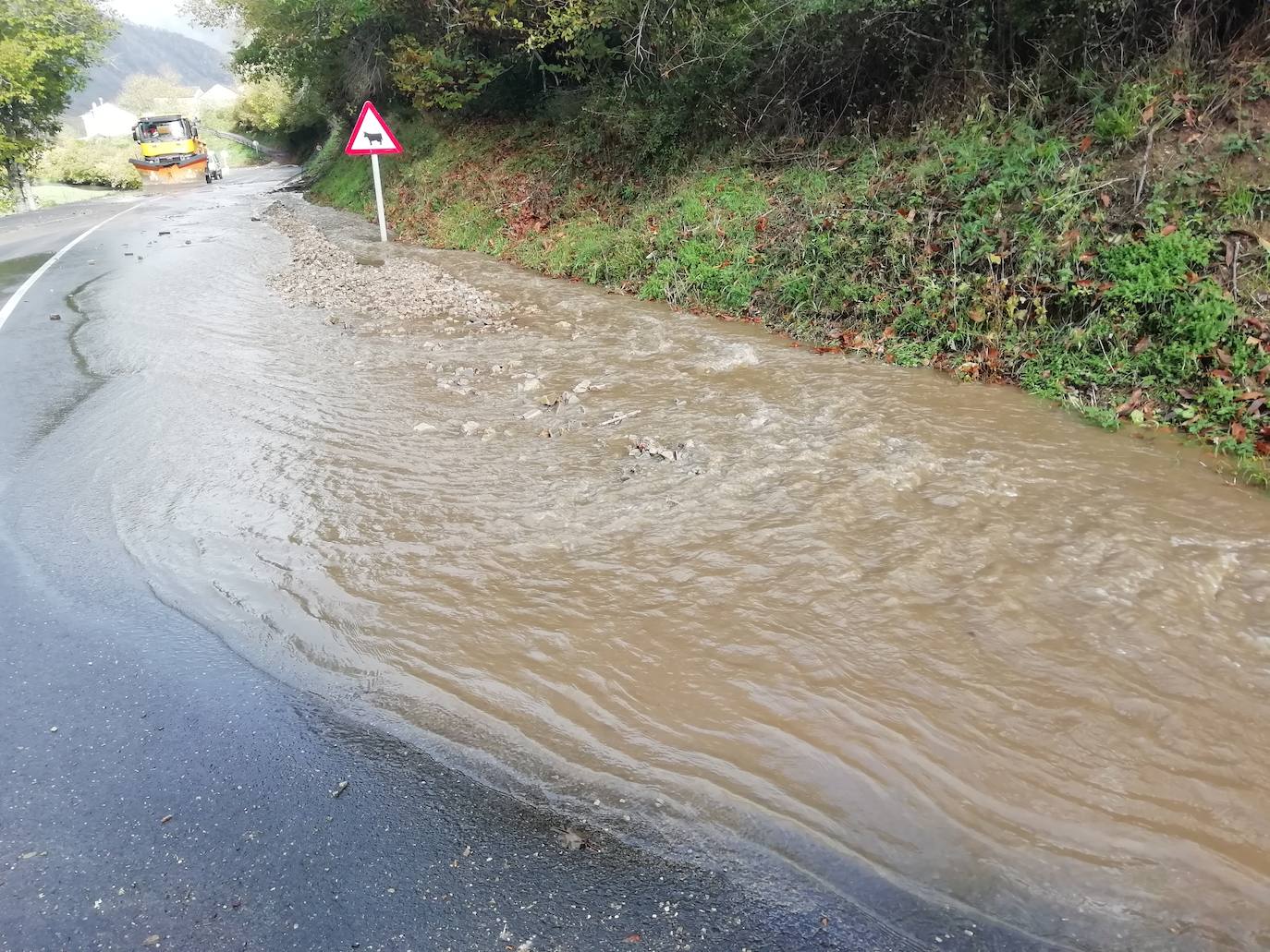 Las intensas lluvias han provocado argayos en Cangas de Onís, Cirieño, Poncebos y en Degaña. Además, se han desbordado los ríos Nalón y Trubia. 