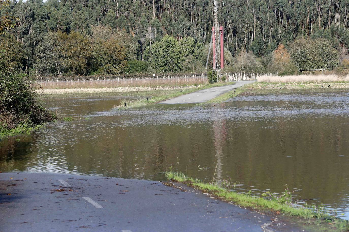 Las intensas lluvias han provocado argayos en Cangas de Onís, Cirieño, Poncebos y en Degaña. Además, se han desbordado los ríos Nalón y Trubia. 