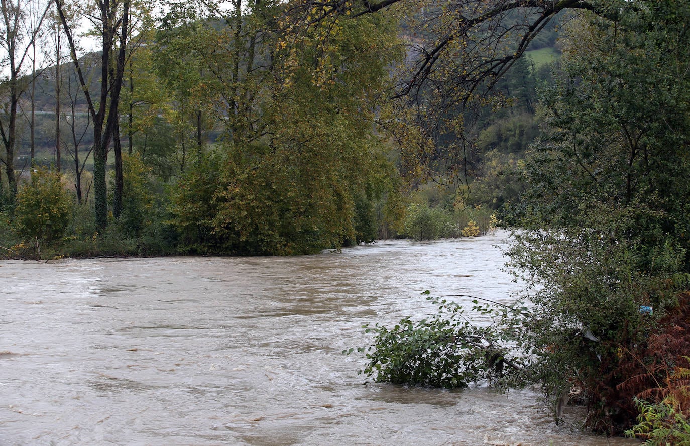 Las intensas lluvias han provocado argayos en Cangas de Onís, Cirieño, Poncebos y en Degaña. Además, se han desbordado los ríos Nalón y Trubia. 