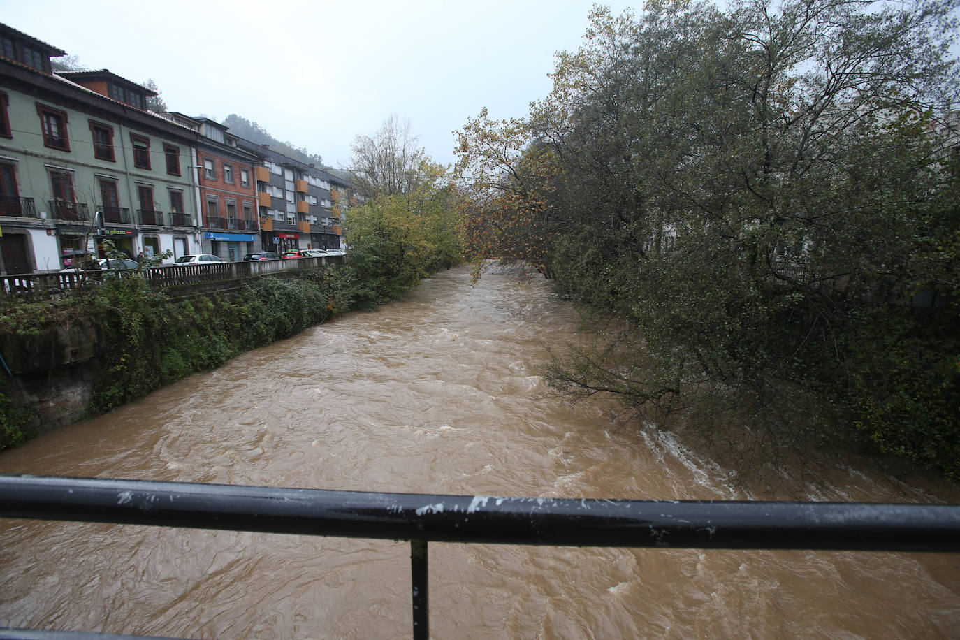 Las intensas lluvias han provocado argayos en Cangas de Onís, Cirieño, Pondebos y en Degaña. Además, se han desbordado los ríos Nalón y Trubia. 