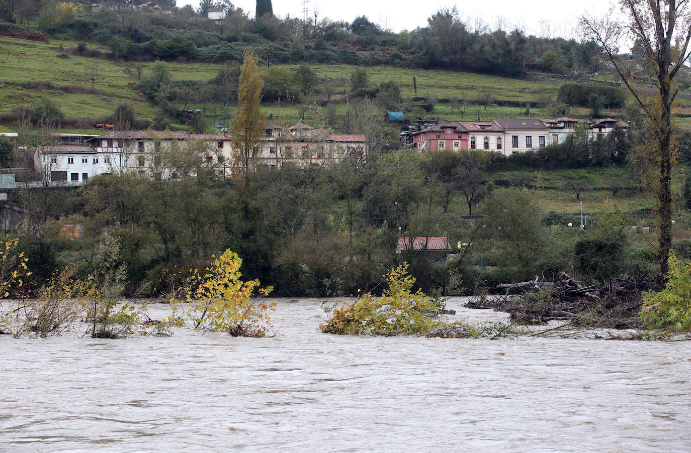 Las intensas lluvias han provocado argayos en Cangas de Onís, Cirieño, Poncebos y en Degaña. Además, se han desbordado los ríos Nalón y Trubia. 