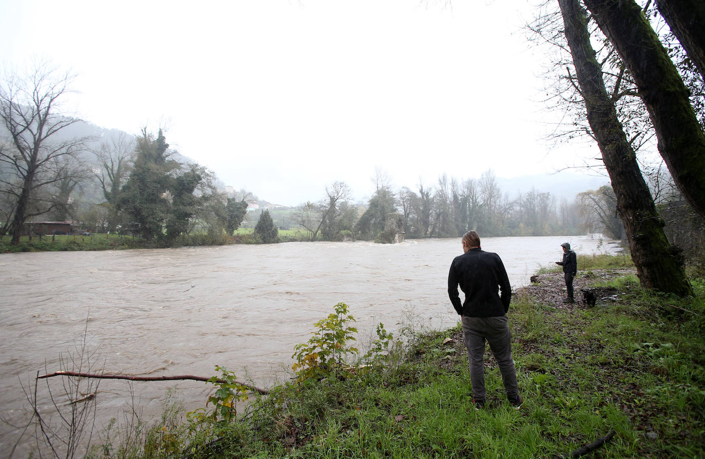 Las intensas lluvias han provocado argayos en Cangas de Onís, Cirieño, Poncebos y en Degaña. Además, se han desbordado los ríos Nalón y Trubia. 