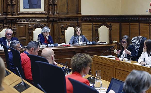 El Pleno de Gijón rechaza llamar Plaza de España al Humedal