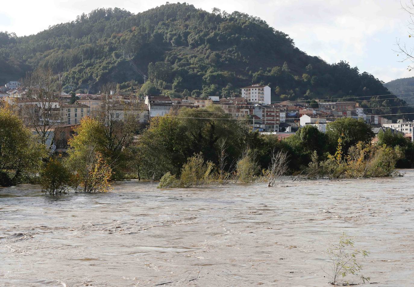 Las lluvias de las últimas horas han provocado el desbordamiento del río Nalón en varios de sus tramos, como Pravia. El agua, que alcanza la carretera AS-16, ha anegado por completo varias huertas y plantaciones de kiwi.