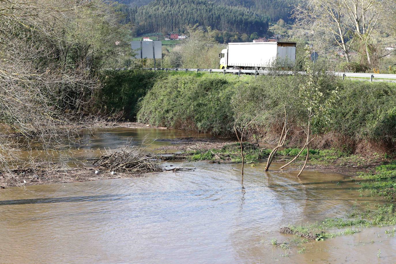 Las lluvias de las últimas horas han provocado el desbordamiento del río Nalón en varios de sus tramos, como Pravia. El agua, que alcanza la carretera AS-16, ha anegado por completo varias huertas y plantaciones de kiwi.